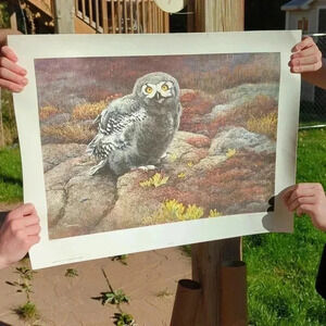 "Those Eyes"  by Liz Lesperance